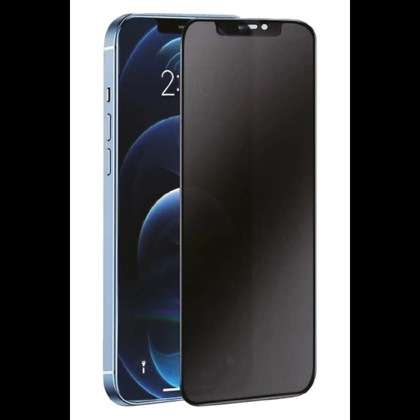 Newface Samsung Galaxy S24 3D Antistatik Hayalet Cam Ekran Koruyucu