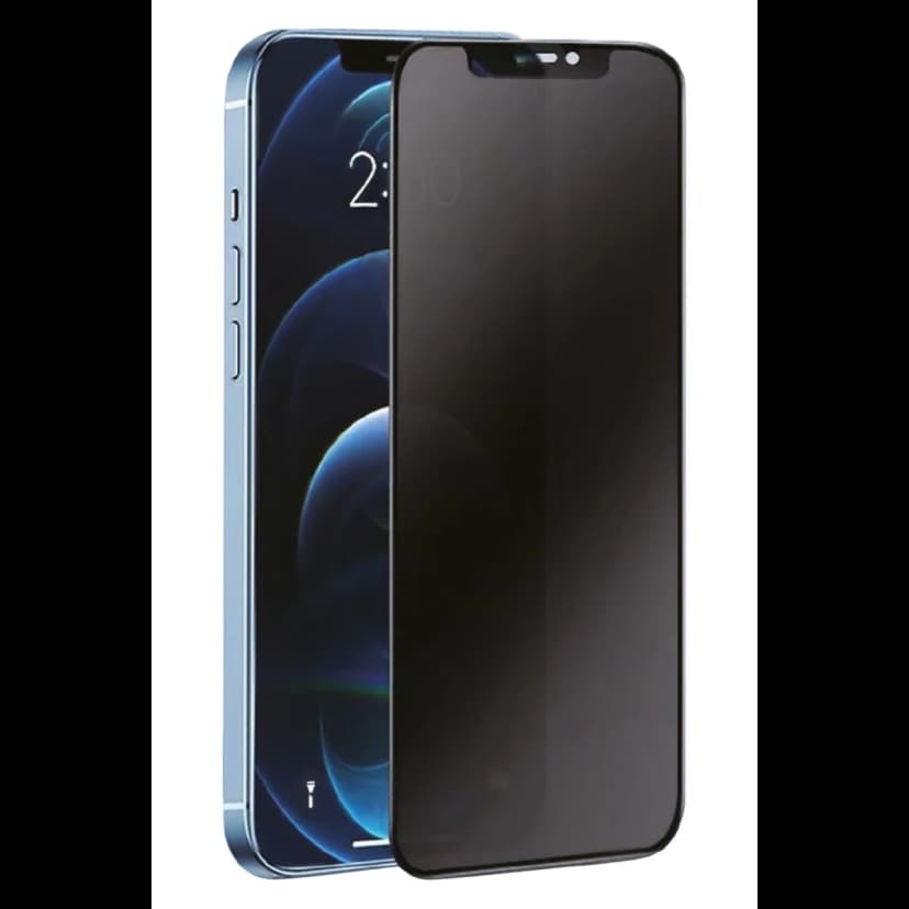 Newface Apple iPhone 13 Pro Max 3D Antistatik Hayalet Cam Ekran Koruyucu
